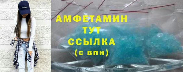 мдпв Елабуга