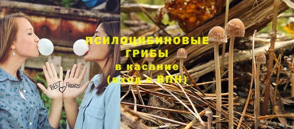 ешки Дмитриев