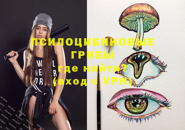 ешки Дмитриев