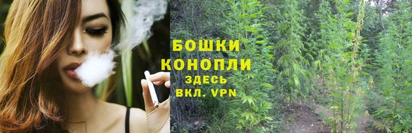 ешки Дмитриев
