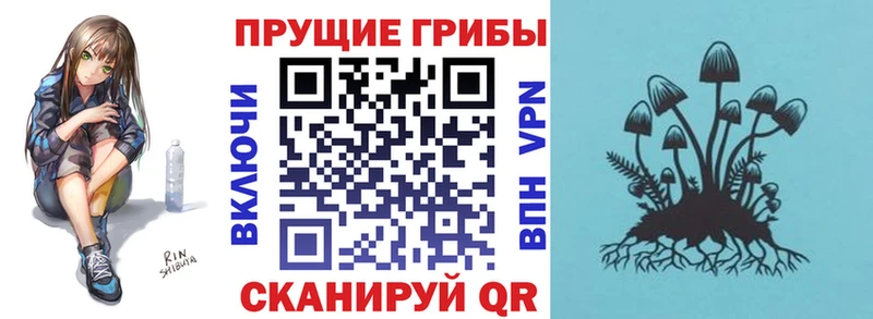 где найти   Змеиногорск  ОМГ ОМГ зеркало  Псилоцибиновые грибы прущие грибы 